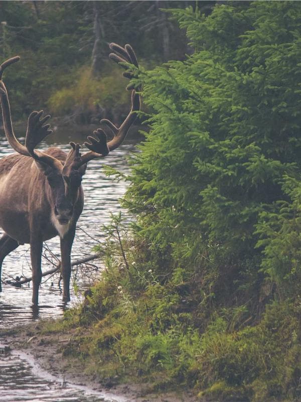 Body Shaper Completo DALK - Vista frontal