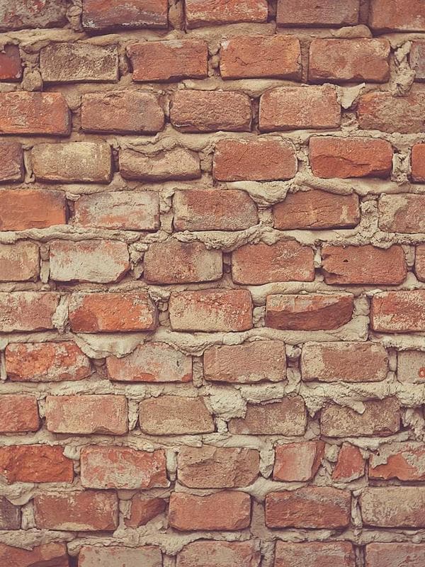 Faja Postparto DALK - Vista frontal