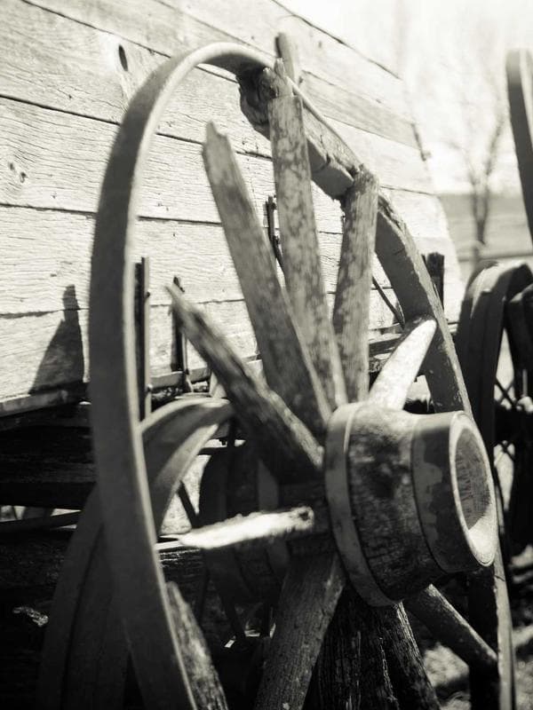 Faja Postparto DALK - Vista lateral